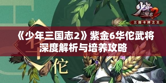 《少年三国志2》紫金6华佗武将深度解析与培养攻略