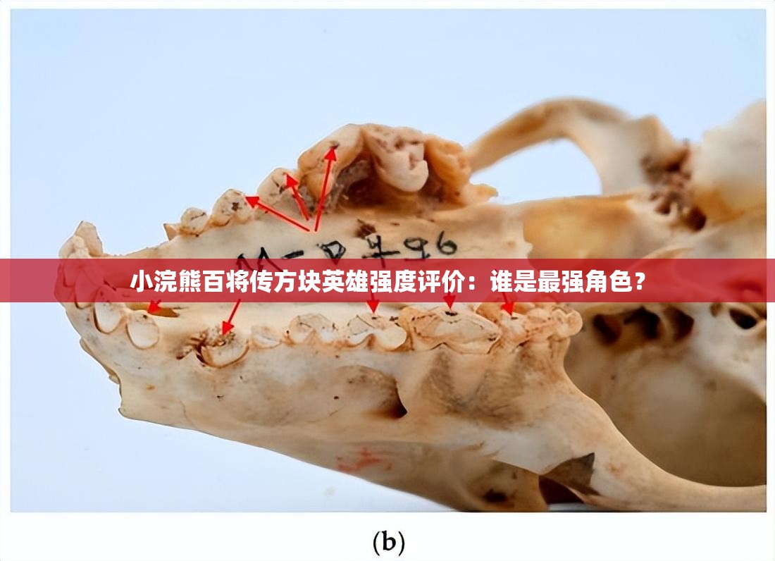 小浣熊百将传方块英雄强度评价：谁是最强角色？