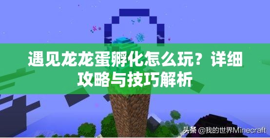 遇见龙龙蛋孵化怎么玩？详细攻略与技巧解析