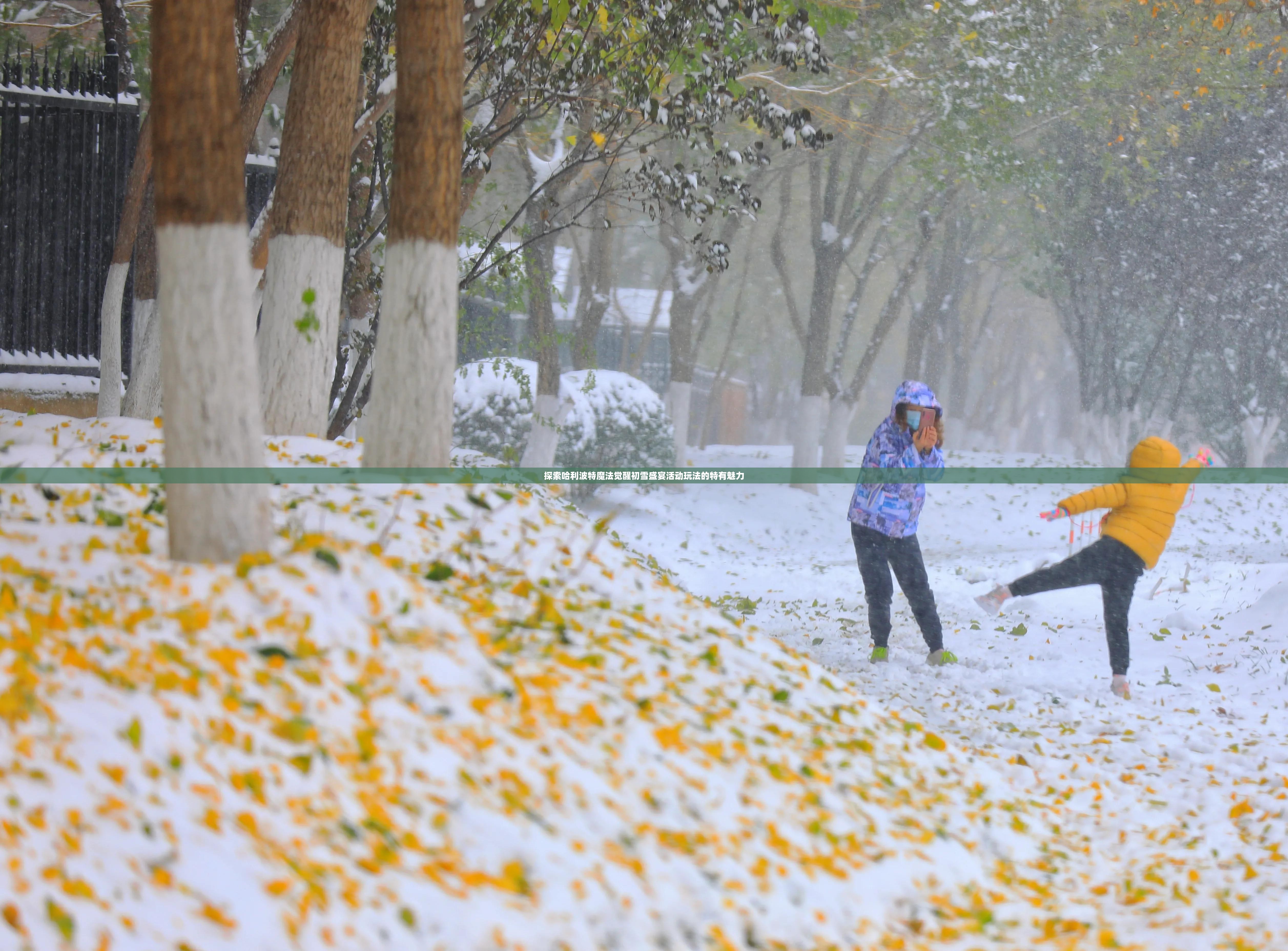 探索哈利波特魔法觉醒初雪盛宴活动玩法的特有魅力