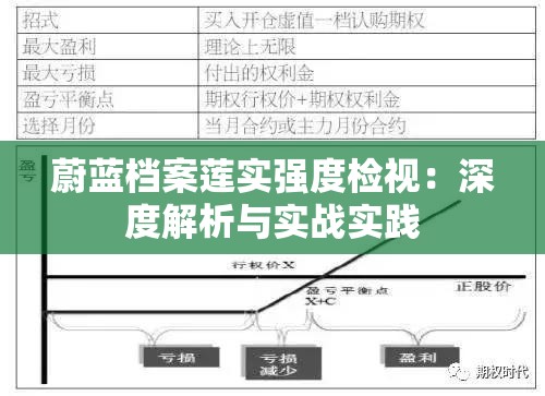 蔚蓝档案莲实强度检视：深度解析与实战实践