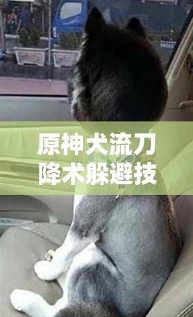 原神犬流刀降术躲避技巧全解析：高效应对策略